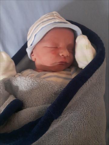 Alekcy Bélisle-Gougeon