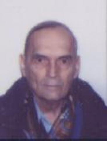 Michel Gravelle