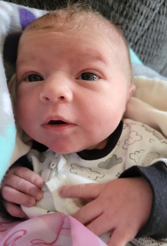 Frédérique Poirier