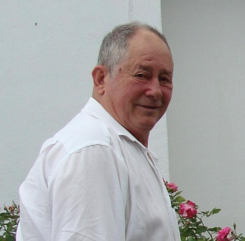 Raul Botelho