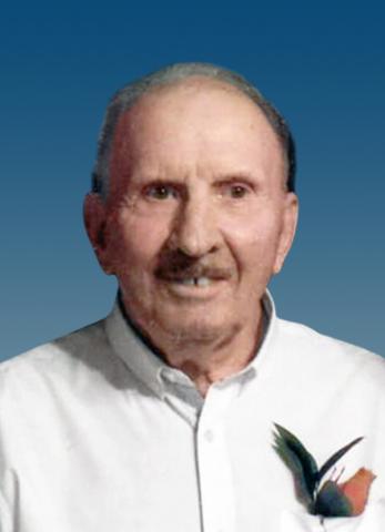 Denis Hayes