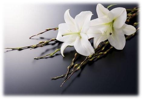 Soeur Éliane Lavoie