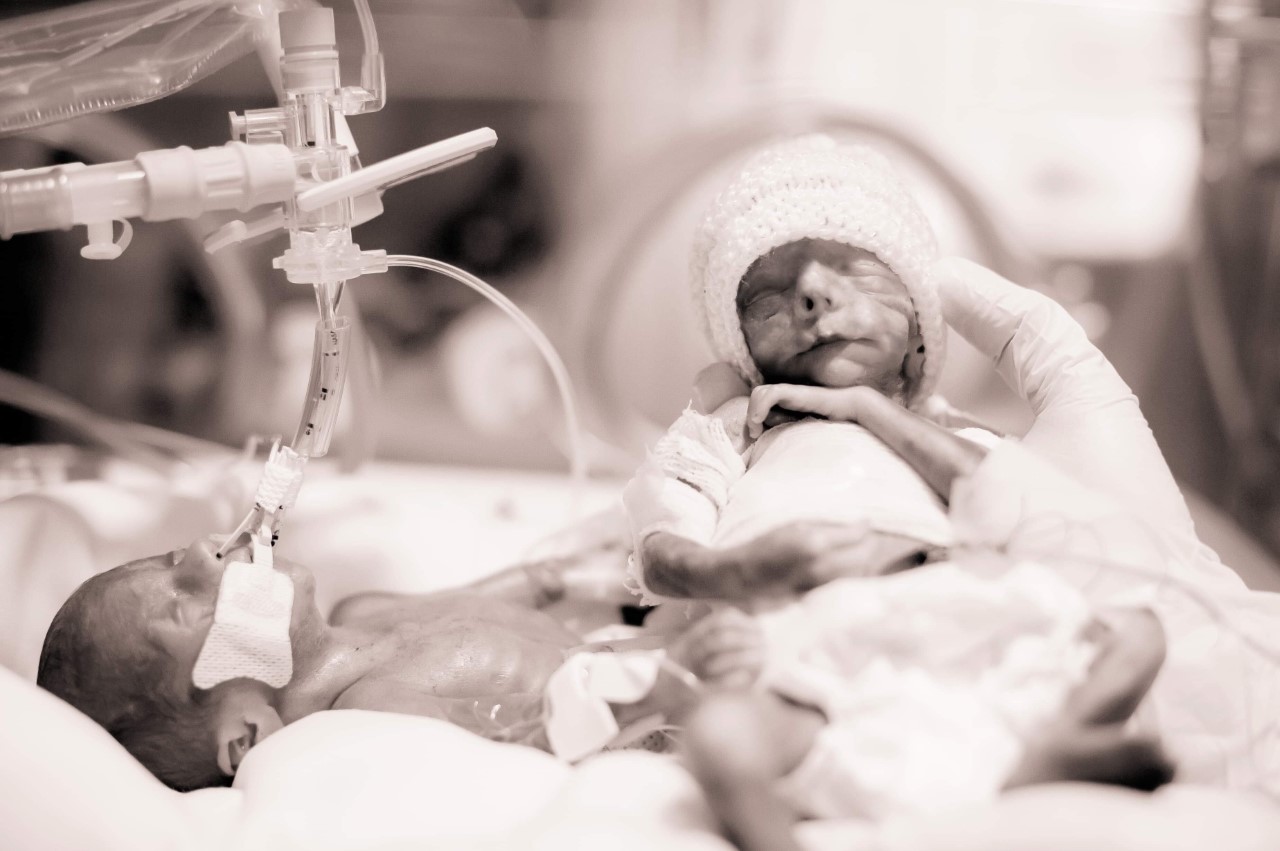 Mathis et Liam Vallée